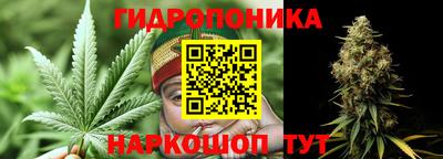прущие грибы Аргун