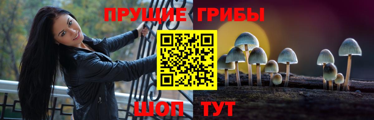 Галлюциногенные грибы Cubensis Аша